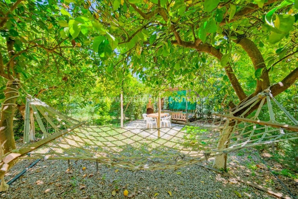 Bungalov Avokado 4 2